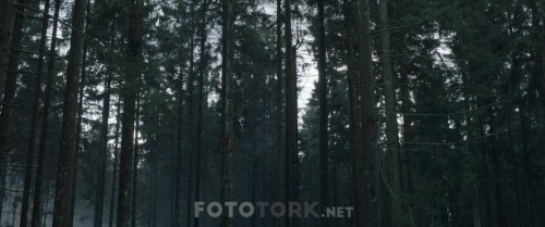 I.Kill.Giants.2017.720p.BluRay.x264.DUAL.TR-ENG.TORK..mkv_snapshot_00.03.14.868.jpg