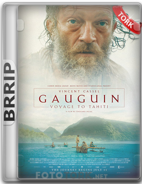 BRRipGAUGIN.png