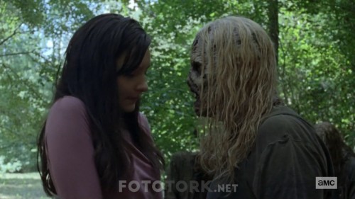 The.Walking.Dead.S09E12.720p.HDTV.x264-AVS.mkv_snapshot_02.03.970.jpg