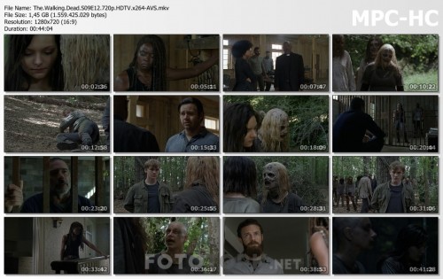 The.Walking.Dead.S09E12.720p.HDTV.x264-AVS.mkv_thumbs.jpg