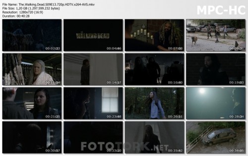 The.Walking.Dead.S09E13.720p.HDTV.x264-AVS.mkv_thumbs.jpg