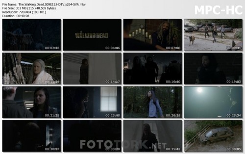 The.Walking.Dead.S09E13.HDTV.x264-SVA.mkv_thumbs.jpg