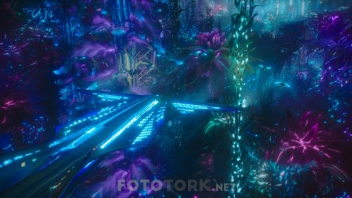 Aquaman.2018.720p.BluRay.x264.AC3.DUAL.TR-ENG.TORK.mkv_snapshot_01.11.54.648.jpg