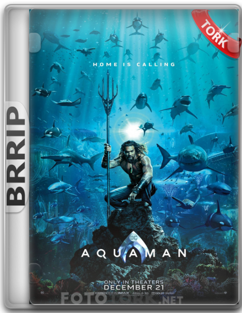 BRRip.png