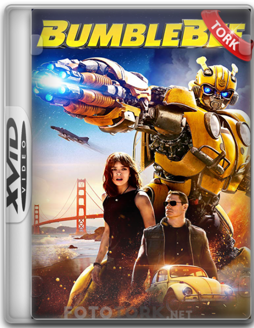 Xvid.png