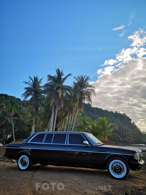JACO-BEACH-PALM-TREE-LIMOUSINE-COSTA-RICA.jpg