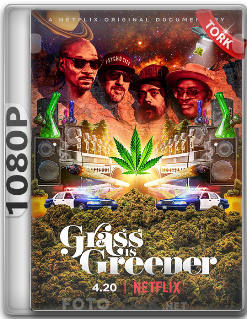 1080pgrass.png