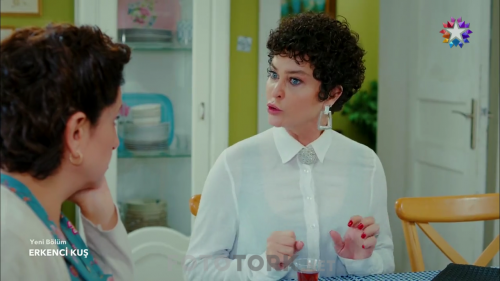 Erkenci.Kus.BL.42.HDTvRip.720p.AC3.by.TheWelleTy.TORK.mkv_007585408.png
