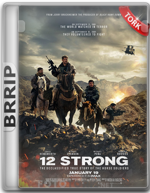 BRRip12STRONG.png