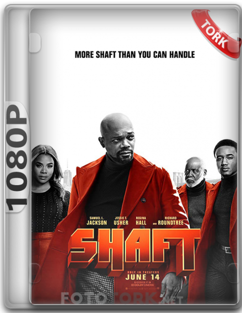 shaft1080.png