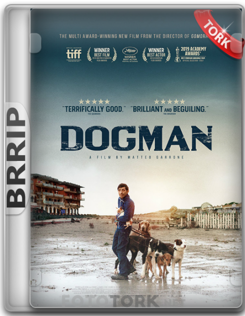 BRRip.png