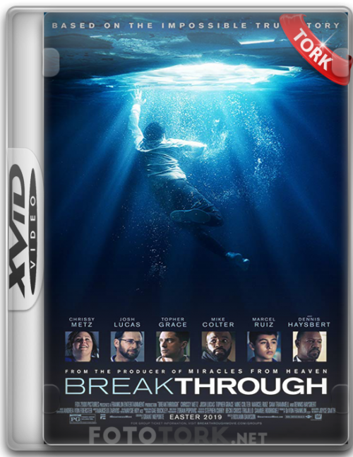 Xvid.png