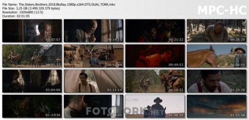 The.Sisters.Brothers.2018.BluRay.1080p.x264.DTS.DUAL.TORK.mkv_thumbs.jpg