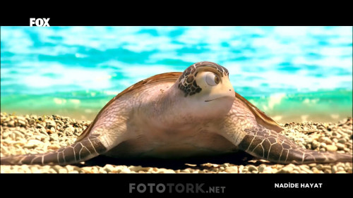 Nadide.Hayat.2015.HDTvRip.1080p.x264.AC3.by.cideli37.TORK.mkv_snapshot_01.41.03.jpg