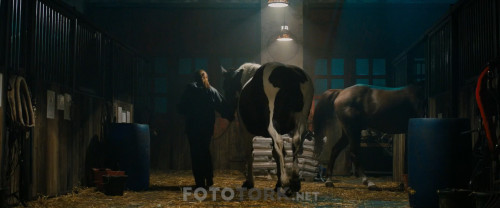 John.Wick.3.2019.1080p.Bluray.X264-EVO.TORK.mkv_snapshot_00.21.19.862.jpg