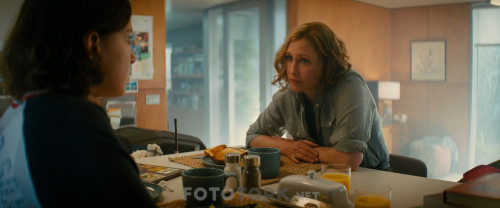 Godzilla.King.of.the.Monsters.2019.1080p.BluRay.x264.AC3.DUAL.TORK.mkv_snapshot_00.04.22.221.jpg