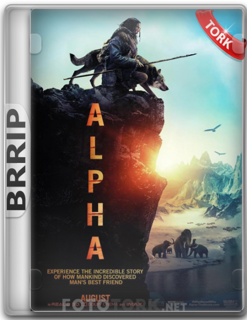 BRRipALPHA.png