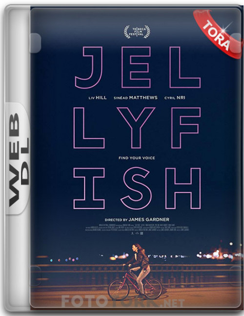 WeB-DL.jpg