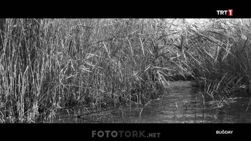Bugday.2017.HDTvRip.x264.AC3.by.cideli37.TORK.mkv_snapshot_00.48.48.jpg