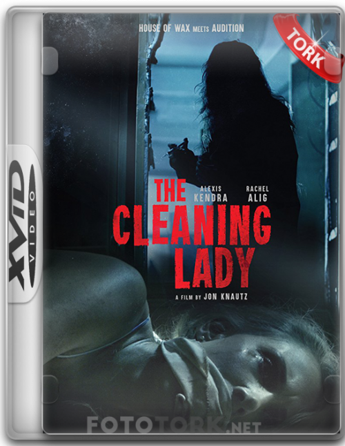 XvidCLEANING.png