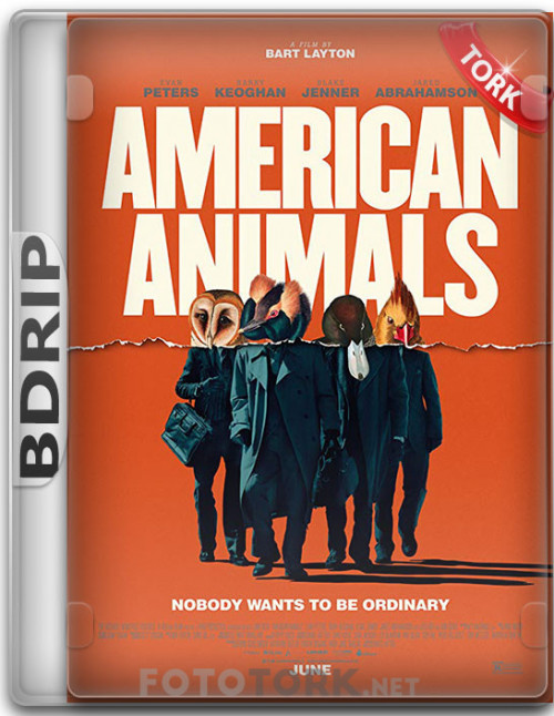 BDRip.jpg