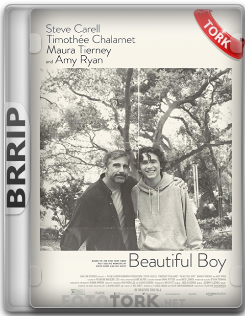 BRRip.png