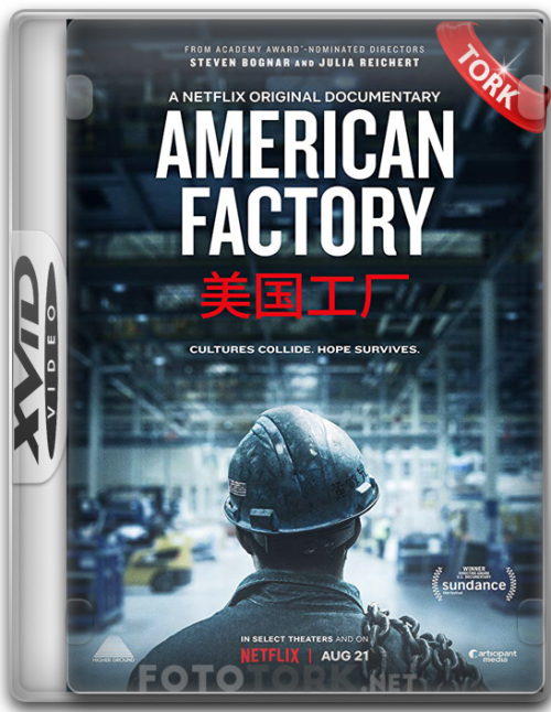XvidFACTORY.png