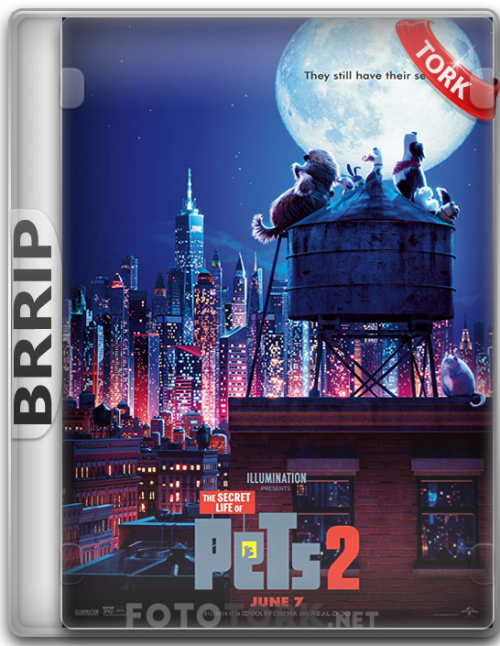 BRRippet2.png