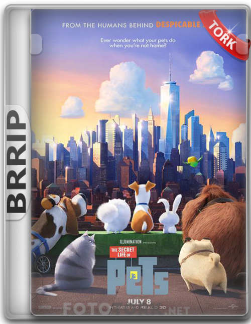 BRRippets.png