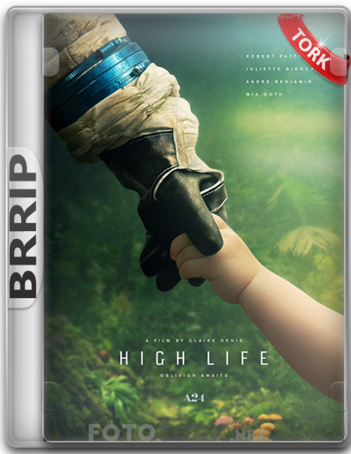 BRRipHIGHLIFE.png