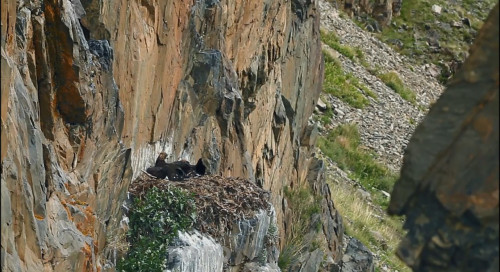 The.Eagle.Huntress.2016.720p.Bluray.x264.AC3.DUAL.TR-KAZ.TORK.mkv_snapshot_00.22.15.jpg