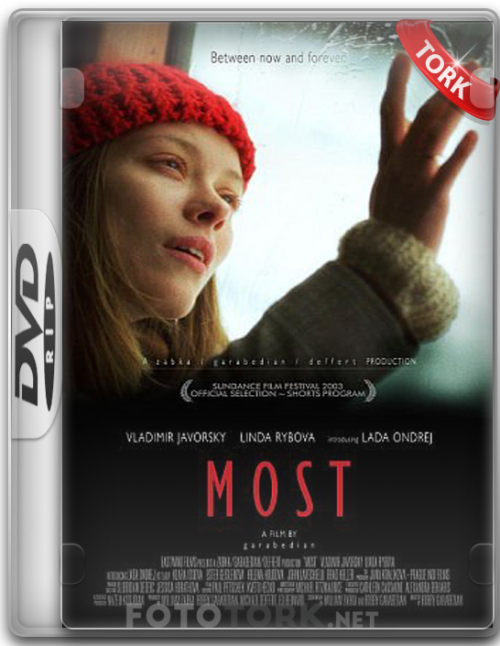 DVDRip.png
