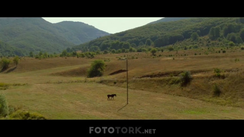Bal-Kaymak-1080p-WEB-DL-H264-TORK_01_11_18_04_8.jpg