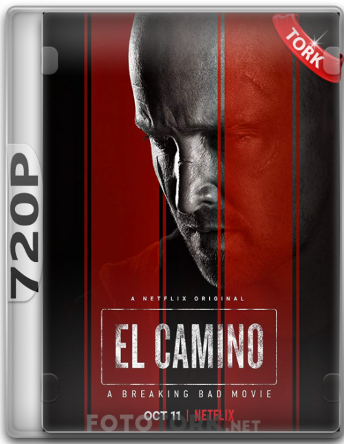 720pcamino.png
