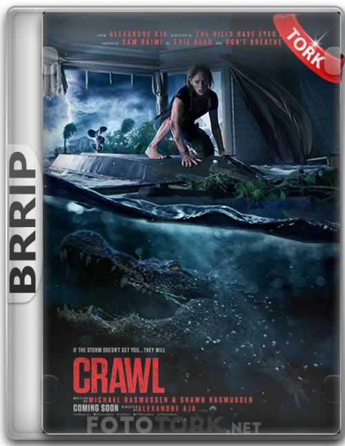 BRRipCRAWL.png