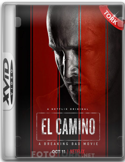 Xvidelcamino.png