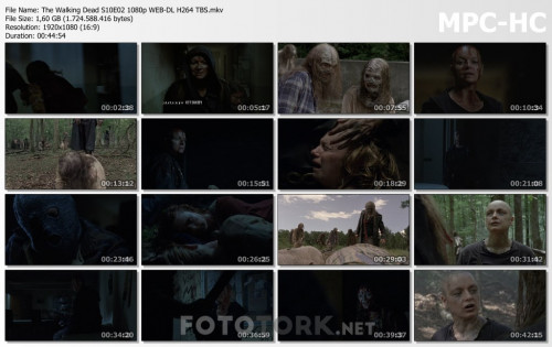 The-Walking-Dead-S10E02-1080p-WEB-DL-H264-TBS.mkv_thumbs.jpg