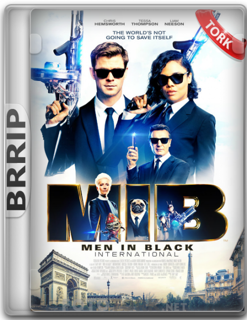 BRRip.png