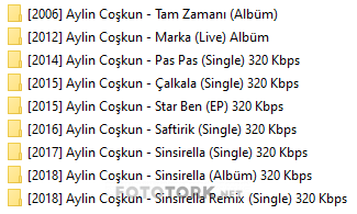 aylin-coskun-track.png