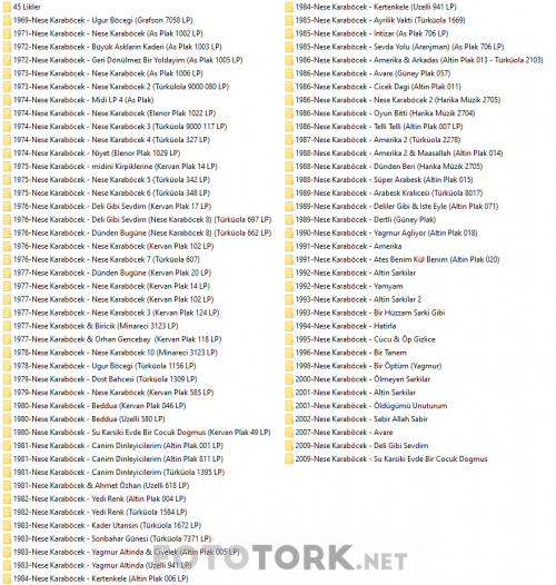 nese-karabocek-track.png