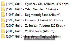 gullu-track.png