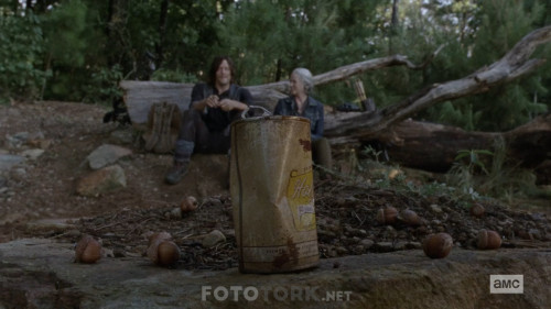 The-Walking-Dead-S10E06-1080p-WEB-DL-H264-XLF.mkv_snapshot_13.02.782.jpg