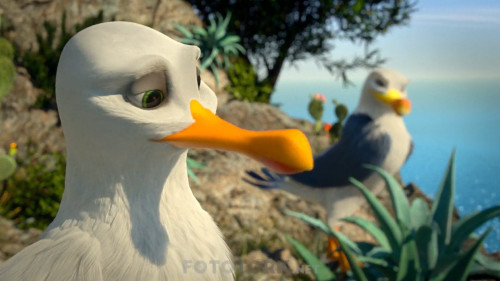 Manou.the.Swift.2019.BluRay.1080p.x264.AC3.DUAL.TR-EN.TORK.mkv_snapshot_00.03.35.603.jpg