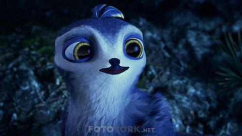 Manou.the.Swift.2019.BluRay.1080p.x264.AC3.DUAL.TR-EN.TORK.mkv_snapshot_00.18.09.501.jpg