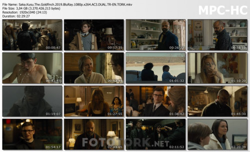 Saka.Kusu.The.Goldfinch.2019.BluRay.1080p.x264.AC3.DUAL.TR-EN.TORK.mkv_thumbs.jpg