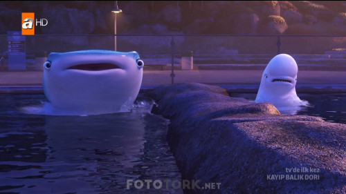 Kayip.Balik.Dori.2016.HDTvRip.1080p.AC3.TRDUB.by.cideli37.TORK.mkv_snapshot_01.09.43.829.jpg