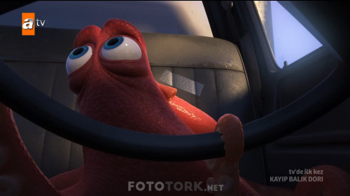 Kayip.Balik.Dori.2016.HDTvRip.1080p.AC3.TRDUB.by.cideli37.TORK.mkv_snapshot_01.16.26.029.jpg