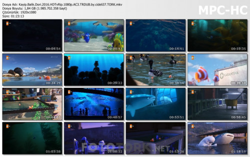 Kayip.Balik.Dori.2016.HDTvRip.1080p.AC3.TRDUB.by.cideli37.TORK.mkv_thumbs.jpg