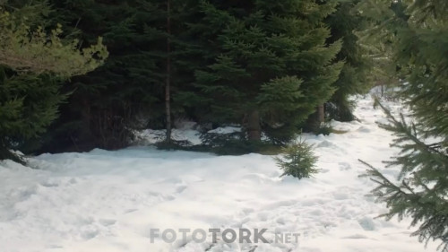 Kuzey.Yildizi.BL.15.WEBRip.720p.AAC.by.cideli37.TORK.mkv_snapshot_02.09.05.640.jpg