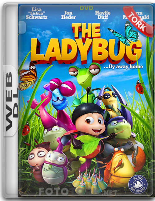 WeB-DL.jpg